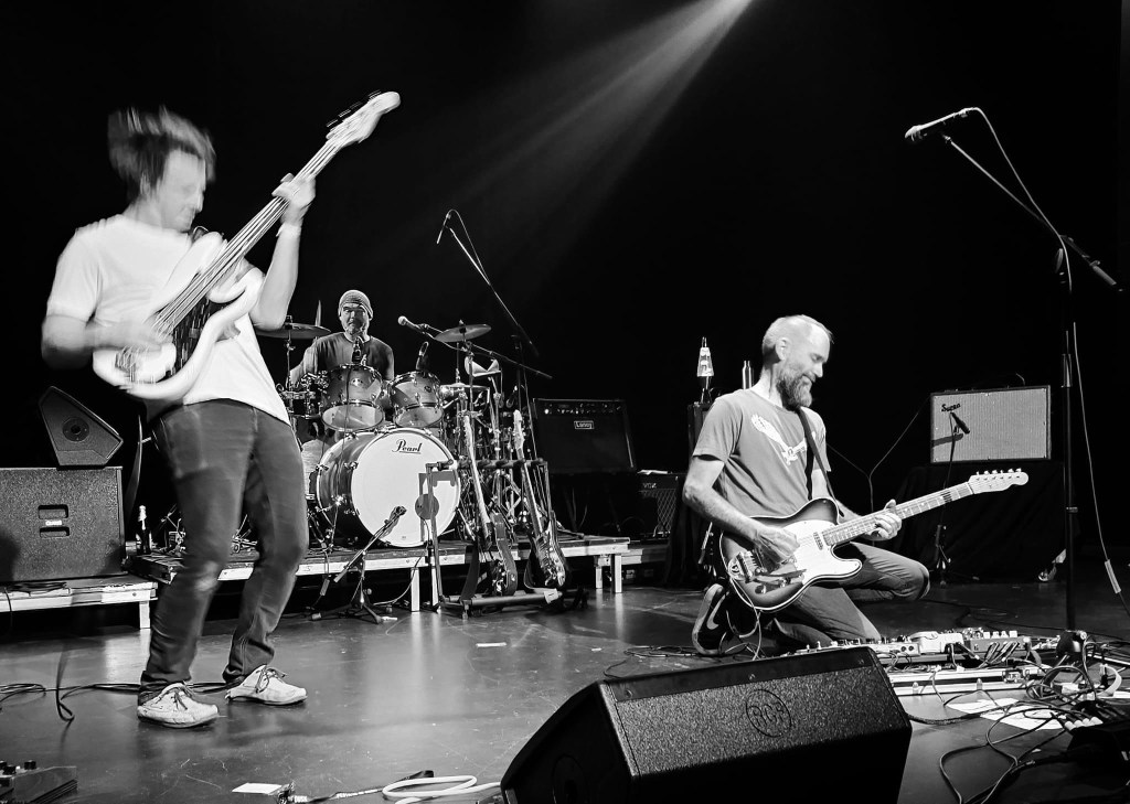 live @ the Albany Town Hall